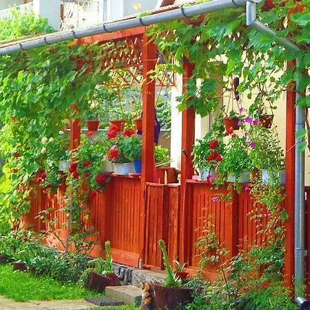 Guest house Casa Mary Hateg
