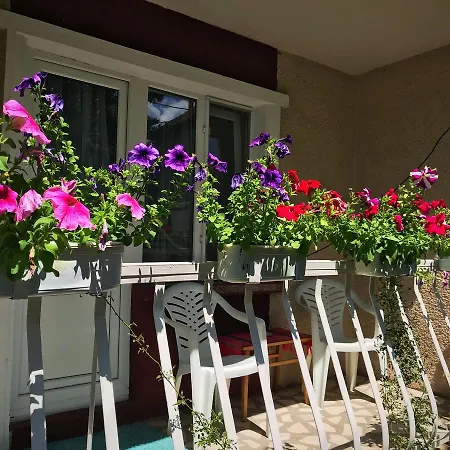Guest house Casa Mary *