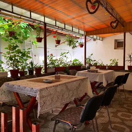 Guest house Casa Mary Hateg